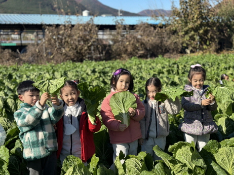 배추를 관찰해요~